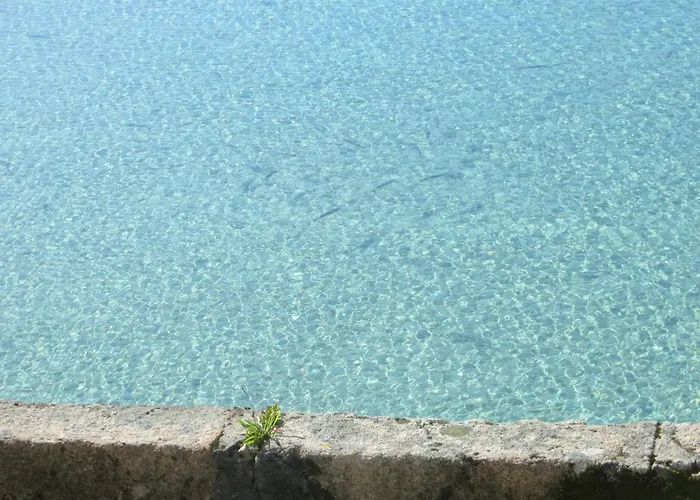 Apartamento Na Beira Do Mar
